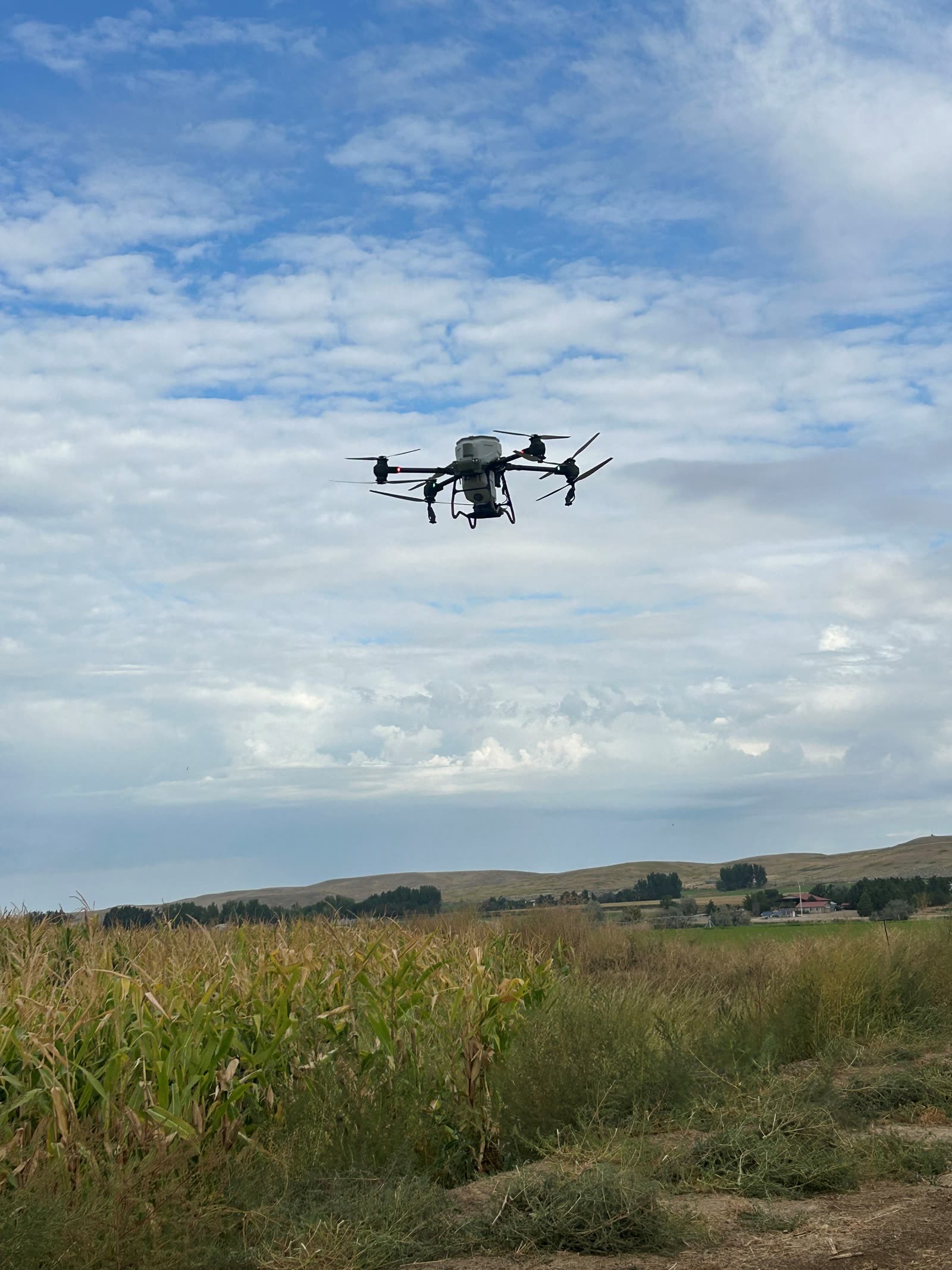 An agricultural drone hovering over a Gem County field while seeding a cover crop