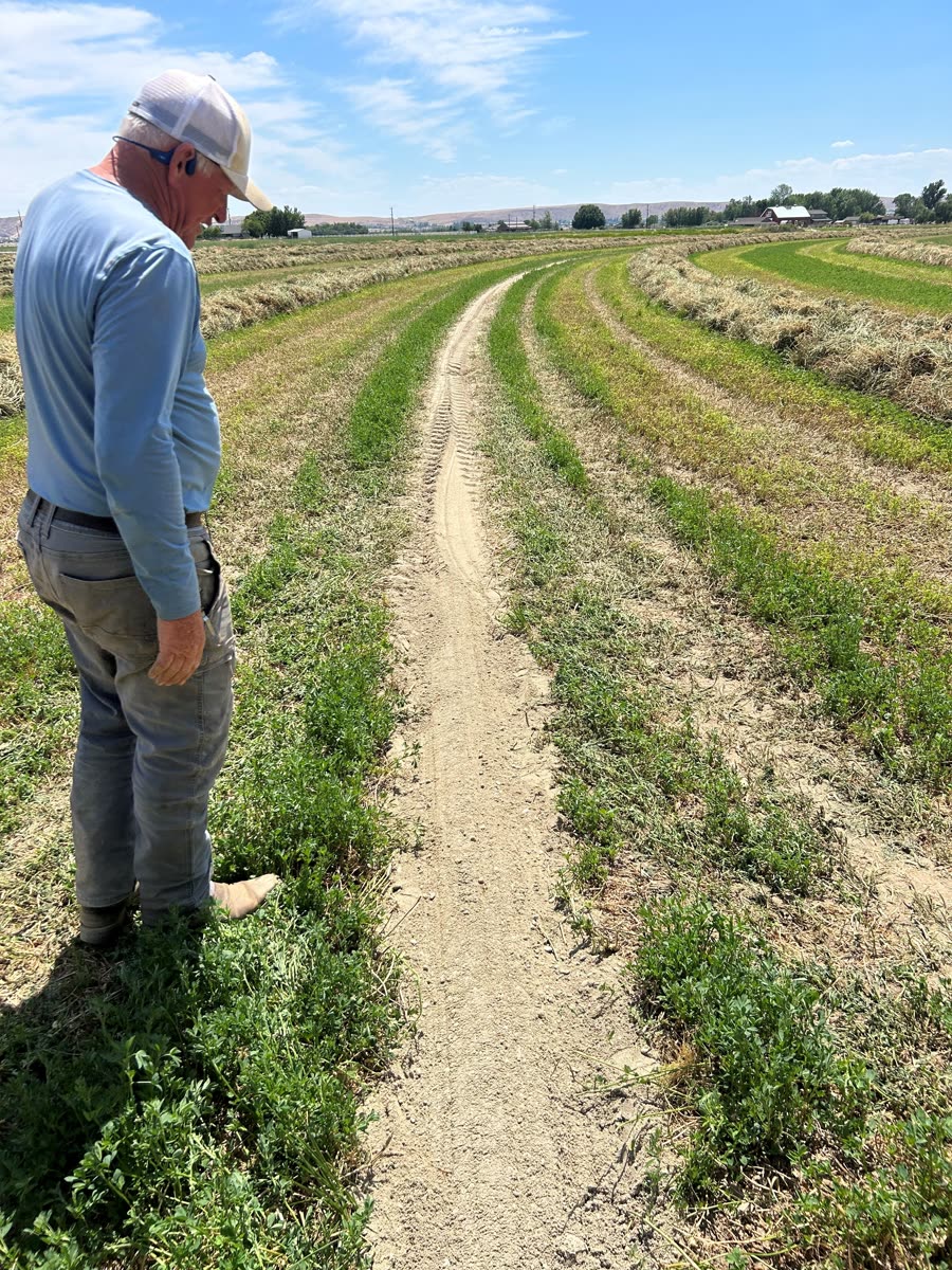 A landowner looking down a pivot wheel track freshly filled with road material