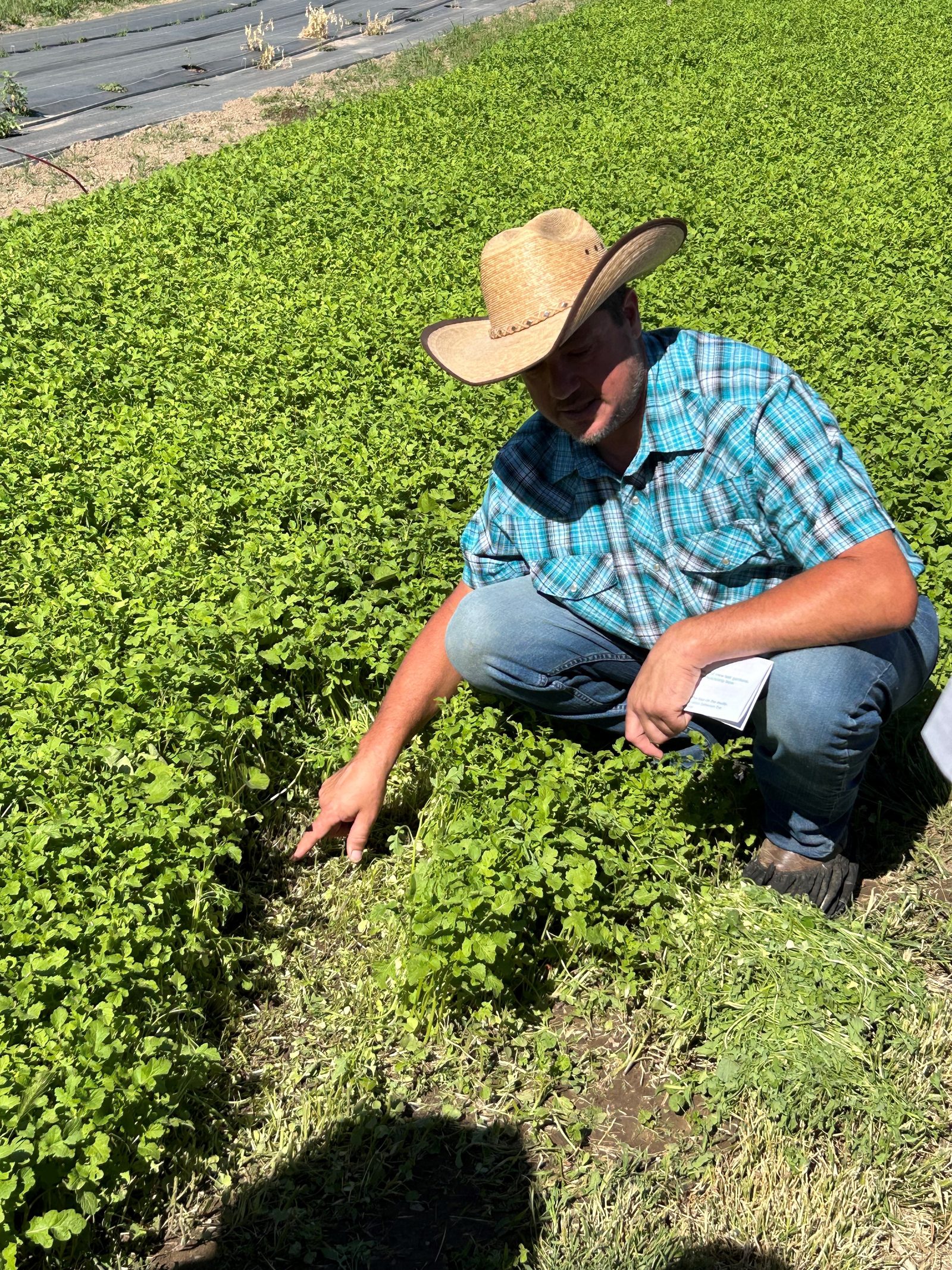 Cover crop education during a tour at Sonshine Acres